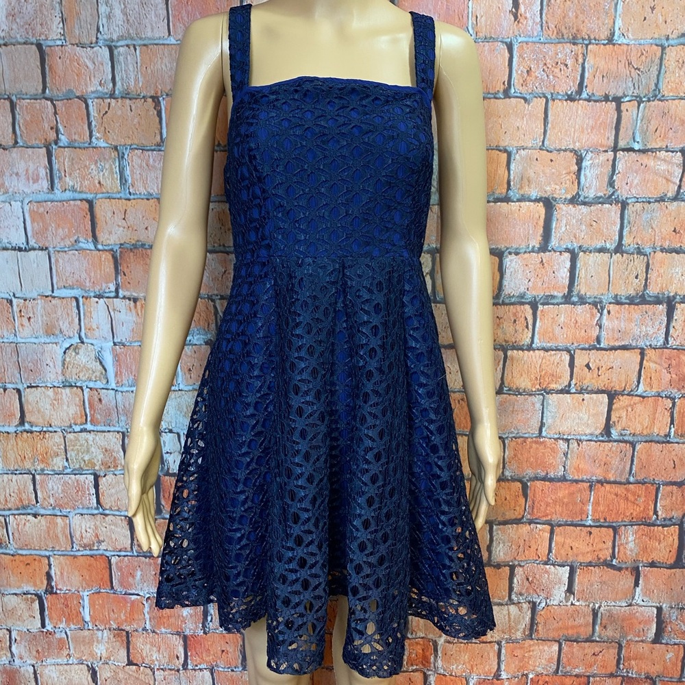 Aryn K Lace Covered Skater Dress